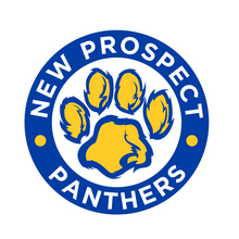 Load image into Gallery viewer, NPE - Panthers Flannel Pants (Youth)