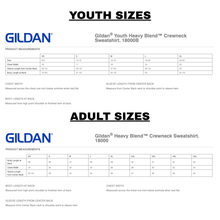 Load image into Gallery viewer, NPE - "New Prospect with Panther"- Sport Grey Sweatshirt (Youth)