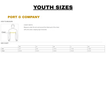 Load image into Gallery viewer, Hooch - Port & Company® Youth Crystal Tie-Dye "Cougar Head" Pullover Hoodie (Youth)