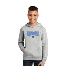 Load image into Gallery viewer, NPE - "Panthers"- Light Heather Grey Hoodie (Youth)