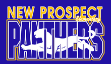 Load image into Gallery viewer, NPE - "Hidden Panther"- T'shirt (Adult)