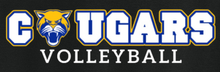 Load image into Gallery viewer, Hooch - "Cougars Volleyball 2026" (Youth & Adult Sizes) (Black)