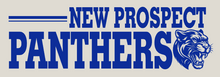 Load image into Gallery viewer, NPE - &quot;Growling Panther&quot;- PosiCharge T&#39;shirt (Youth)
