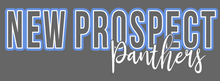 Load image into Gallery viewer, NPE - &quot;Neon Panthers&quot;- T&#39;shirt (Youth &amp; Adult)

