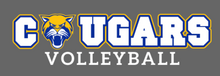 Load image into Gallery viewer, Hooch - "Cougars Volleyball 2026" (Youth &amp; Adult Sizes) (Heather Gray)
