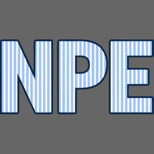Load image into Gallery viewer, NPE - "Lakeside"- Comfort Colors T'shirt (Adult)
